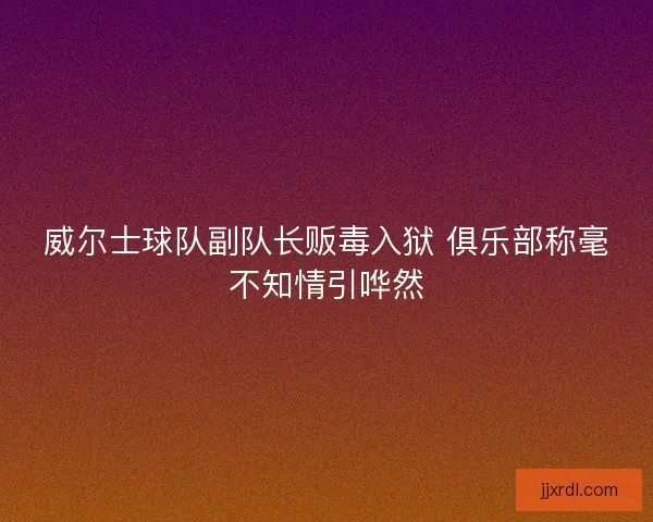 威尔士球队副队长贩毒入狱 俱乐部称毫不知情引哗然